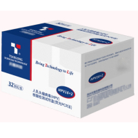 天隆 人乳头瘤病毒(HPV ) 核酸检测试剂盒(荧光PCR法)(单位:32 测试/ 盒)