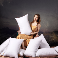 TENDZONE 水星家纺 74*48(对装)枕头(单位:个)