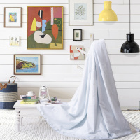 水星家纺 DH莘德拉蚕丝被 200X230cm 聚酯纤维 柞蚕丝