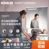 科勒镜柜亲悦卫生间带灯镜柜梳洗化妆镜柜防雾镜面浴室镜柜30011T