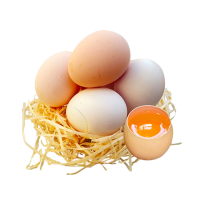 携兴 鸡蛋普通