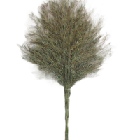 材慧 环卫户外竹扫把(大扫把)1把