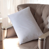 水星家纺 安睡羽丝绒枕48*74 cm