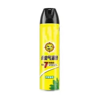 600ml杀虫剂(流通喷头)清香★