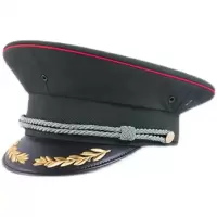 3543春秋男士大毡帽(帽子带徽)单位:顶