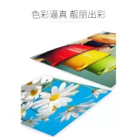 震天下PP相纸(面)70*110