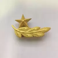 3543礼服肩章金属大领花肩牌 单位:付