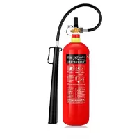 洪湖 灭火器 二氧化碳灭火器5公斤 CO2手提式气体二氧化碳灭火器 机房精密仪器灭火器MT/5 单位:个