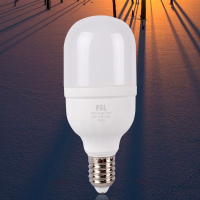 佛山照明FSL20w 球泡