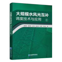 天星《大规模水风光互补调度技术与应用》