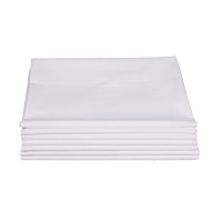 蚕娟洗涤白床单加厚纯棉白色褥单115*210cm 单位:床