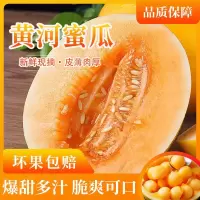 [清甜大果]陕西黄河蜜甜瓜5斤大果新鲜当季水果整箱黄金哈密瓜民勤蜜瓜孕妇水果