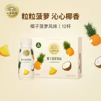 北海牧场宝石瓶低温酸奶0蔗糖椰子菠萝味风味发酵乳220g*12杯