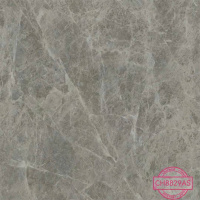 马可波罗地砖 CH8829AS/800*800
