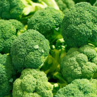 西兰花(精品)1kg