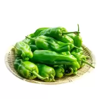青椒(精品)1kg