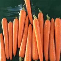 胡萝卜(精品)1kg