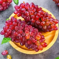 EMS空运[西沛生鲜]云南茉莉香葡萄 葡萄 新鲜水果 5斤 超甜葡萄 红提子