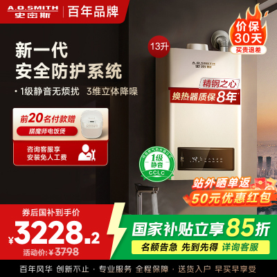 AO史密斯 13升燃气热水器 1级静音 不锈钢换热器包8年 精控恒温 抗风防冻JSQ26-TEW(天然气)