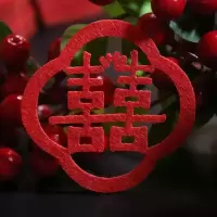 结婚用品手抛喜字婚房布置装饰备婚囍字婚礼喜字婚庆小喜字全红花瓣喜款2包(每包30个)HQ