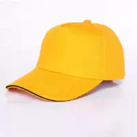 惠居尚品 可定制LOGO印字棒球帽 工作帽 鸭舌帽