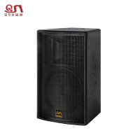 QSN工程音箱DS10专业音箱
