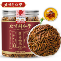 同仁堂朕皇蒲公英根茶200g