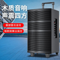 纽曼 广场舞音响户外蓝牙音箱低音炮大音量