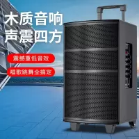 纽曼 广场舞音响户外蓝牙音箱低音炮大音量