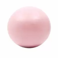 瑞元增 奥义瑜伽球加厚防爆健身球小球23cm