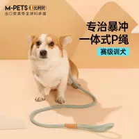 MPETS狗狗牵引绳p绳p链狗绳子大中小型犬柯基网红防爆冲遛狗链子-20斤内适用蓝绿-B