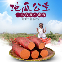 福建六鳌蜜薯红薯地瓜公主地瓜带箱沙地蜜薯甜薯现挖红薯单果50-150g