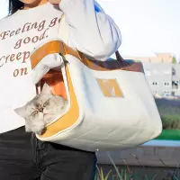苏宁极物大号外出便携猫背包 新款颜值宠物包
