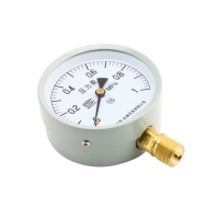 STK压力表YZ-100 指针式水压表油压表气压表压力表0-1MPA