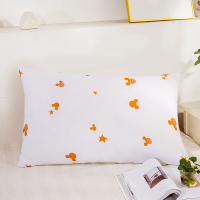 迪士尼枕头枕芯成人五星级酒店枕羽丝绒枕单人枕安睡枕护颈枕头DRM01-2H规格48x74cm x2