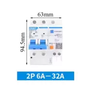 正泰(CHNT) NXBLE 2P 63A空气开关DZ47LE带漏电断路器过载短路保护器 &