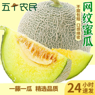 [五个农民]精品山东网纹瓜约8.5斤3-4个装新鲜水果甜瓜玫珑瓜蜜瓜