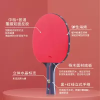 安踏(ANTA) 乒乓球拍 横直拍对拍训练娱乐历代经典 星级拍国手同款成品乒乓拍 平衡发力 PPQ2920