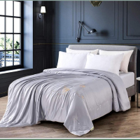 芳恩家纺 FN-B6033 简约奢享蚕香被 灰色