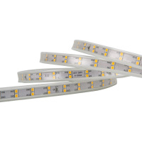 Gentingled 灯带 ZM-2835-120 暖色 双排120珠 5W 镀铜线/米(BY)