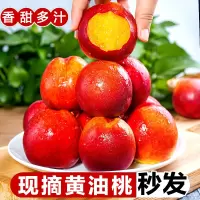 黄心油桃3斤大果装带箱(单果规格70g+)黄心黄肉脆甜油桃无毛桃子产地直采现摘应季新鲜水果