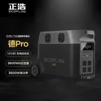 EcoFlow正浩户外移动电源3600W大容量220V大功率DELTApro+加电包