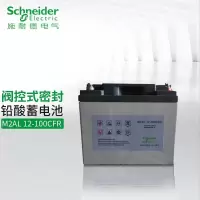 施耐德(APC)M2AL 12-100CFR UPS不间断电源铅酸免维护蓄电池 12V100AH 单位:个