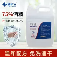 施尔洁(SHI ER JIE)75%酒精消毒液大桶5L*3桶/1箱