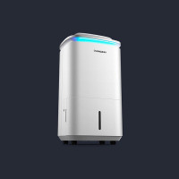 扬子 除湿器 DE20A 1400w 水箱容量:2.5L 日除湿量 :6L/D(台)