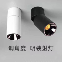 志高(CHIGO) LED射灯10W