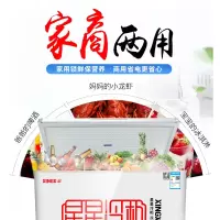 星星牌变温温冷冻冷藏箱BD/BC-243