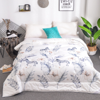 绮露(QI LU)爱尚蚕丝被200*230cm