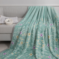 绮露(QI LU)冰貂绒绿茵毯180*200cm