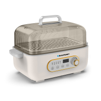 蓝宝(BLAUPUNKT)单层多功能电蒸锅5L-BP-DZG601C